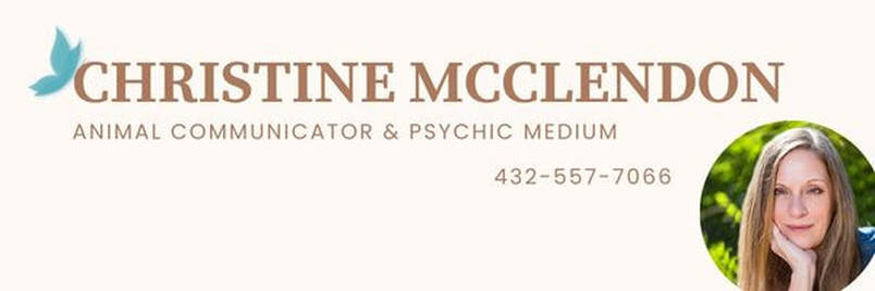 Picture of Pet Psychic in Texas Christine McClendon's blue Butterfly logo