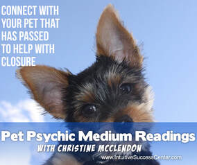Picture of a dog blue sky and words Pet Psychic readings