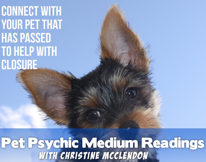 Picture of a dog blue sky and words Pet Psychic readings