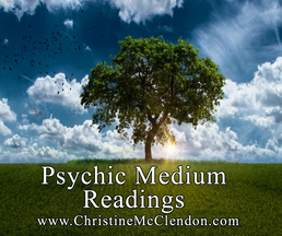 Picture a tree in field in Texas with Psychic Medium Readings www.ChristineMcClendon.com 